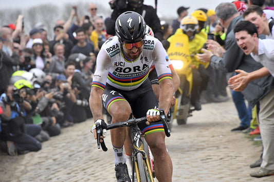 Peter Sagan Slovenska Bicycle Race Champion Poster Wall Art Print Home Wall Decor