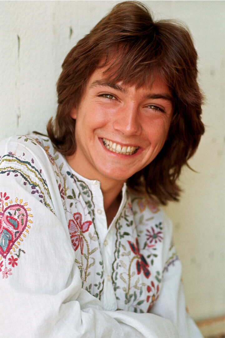 Actor David Cassidy Smiling American Singer Poster Wall Art Print Home Wall Decor