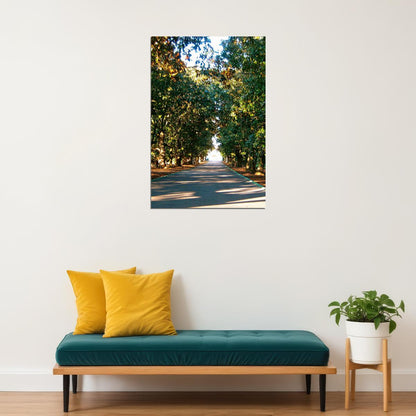 Magnolia Lane Augusta National Golf Poster Wall Art Print Home Wall Decor