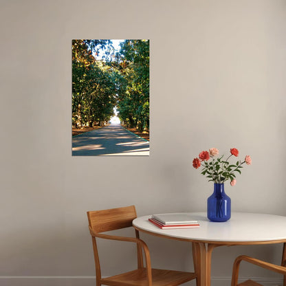 Magnolia Lane Augusta National Golf Poster Wall Art Print Home Wall Decor