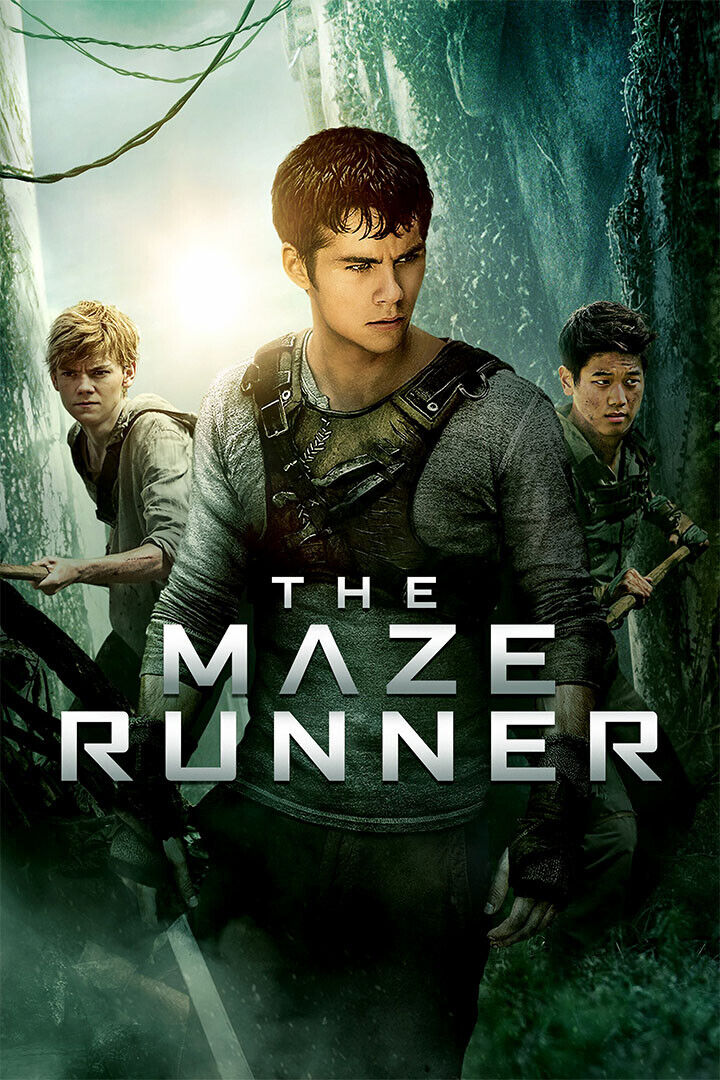 The Maze Runner Movie Dylan O'brien Mystery Poster Wall Art Print Home Wall Decor