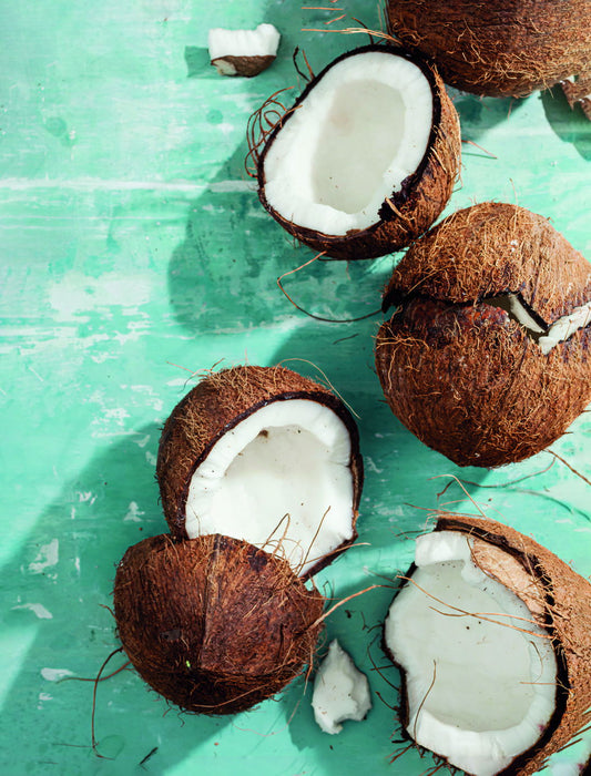 Rustic Coconut Still Life Poster Tropical Kitchen Decor Vintage Food Art Wall Print