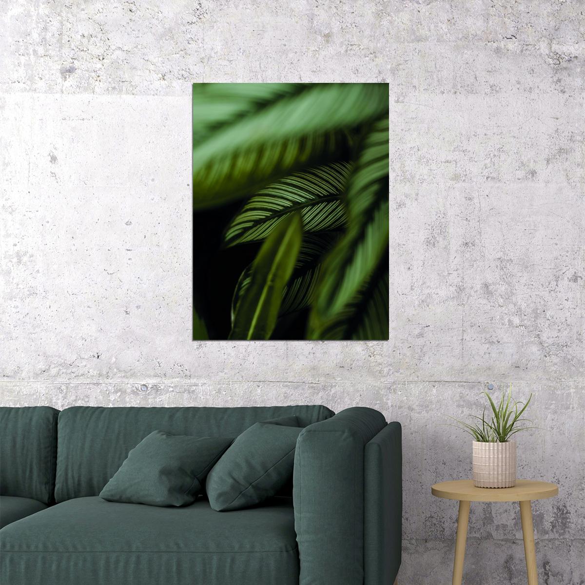 Tropical Leaves Calathea Botanical Garden Print Close-Up Palm Leaves Poster Lush Green Nature Art Wall Decor Print