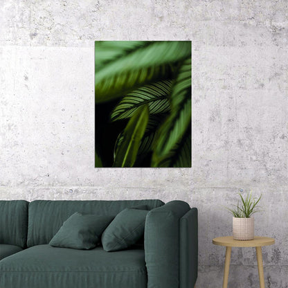 Tropical Leaves Calathea Botanical Garden Print Close-Up Palm Leaves Poster Lush Green Nature Art Wall Decor Print