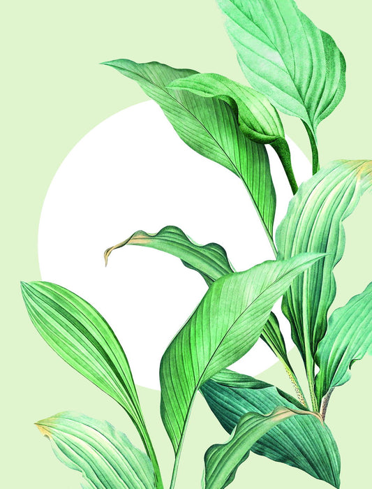 Green Leaf Botanical Poster Minimalist Nature Art Fresh Plant Wall Decor Print