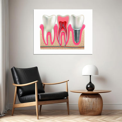 Dental Anatomy Art Poster Educational Tooth Structure Wall Decor Modern Artistic Design Medical Wall Print