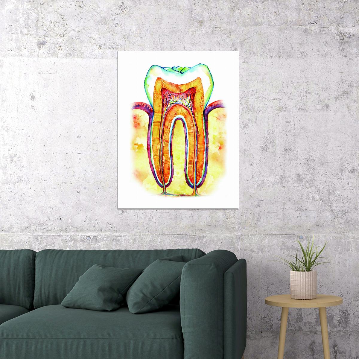 Tooth Cross-Section Art Poster Colorful Educational Wall Decor Anatomy Medical Artistic Style Modern Wall Print