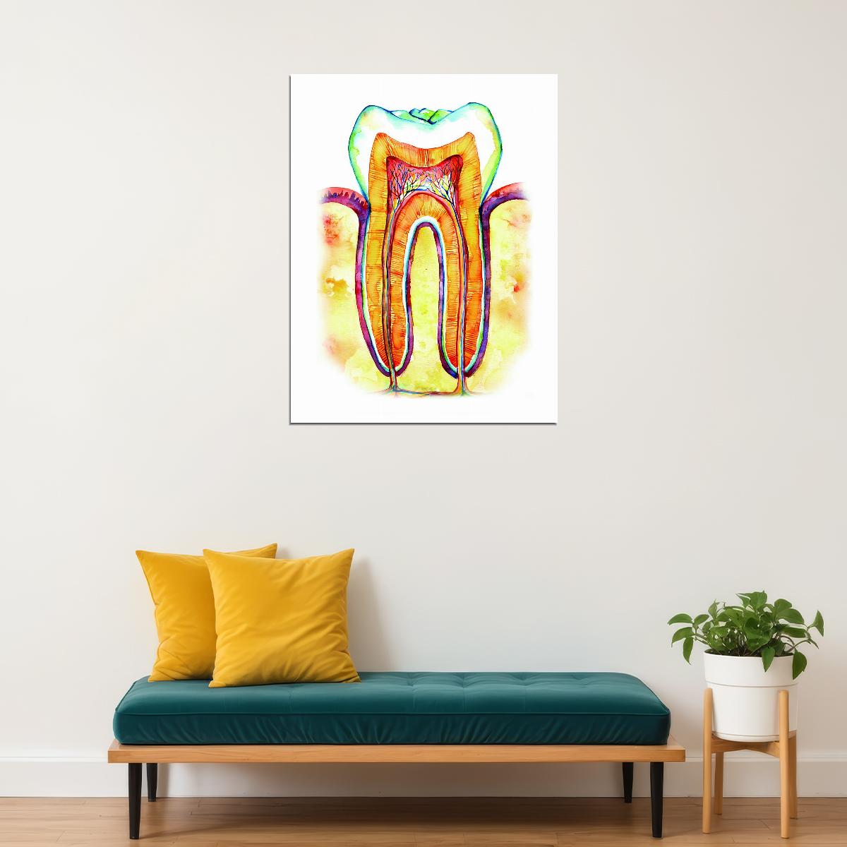 Tooth Cross-Section Art Poster Colorful Educational Wall Decor Anatomy Medical Artistic Style Modern Wall Print