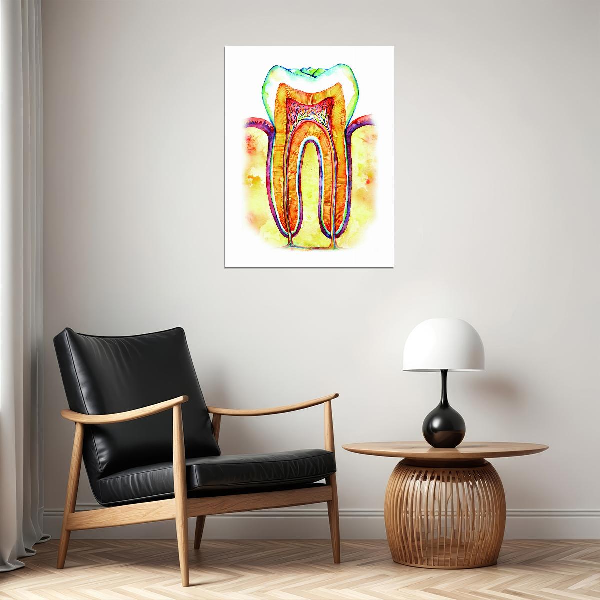 Tooth Cross-Section Art Poster Colorful Educational Wall Decor Anatomy Medical Artistic Style Modern Wall Print