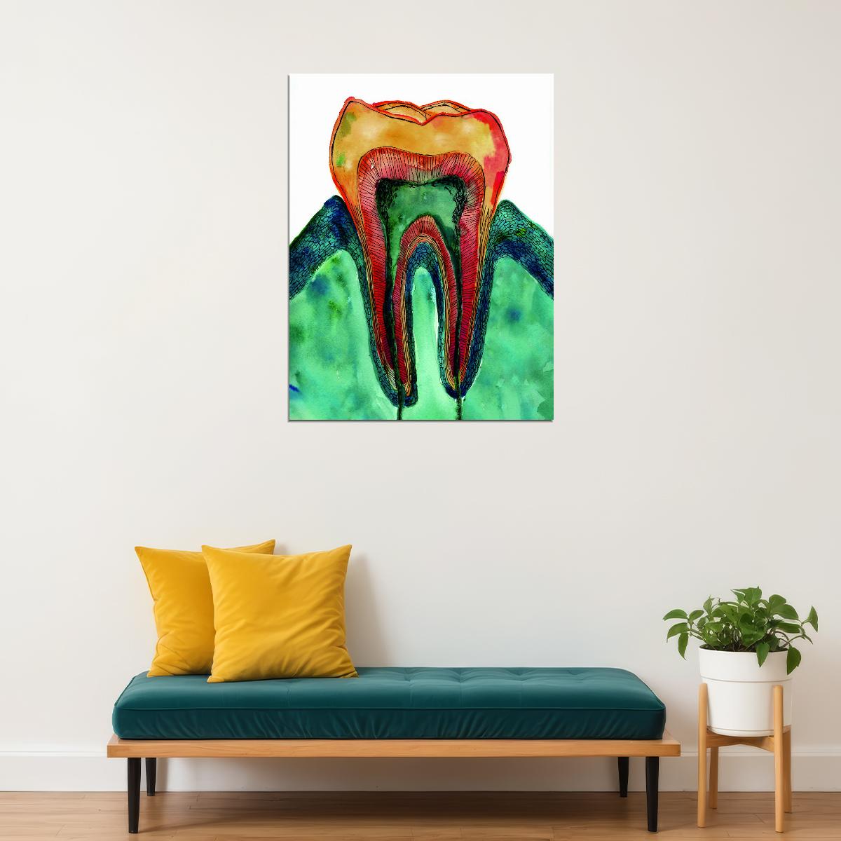 Tooth Anatomy Art Poster Bright and Colorful Educational Wall Decor Medical Artistic Design Unique Wall Print