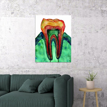 Tooth Anatomy Art Poster Bright and Colorful Educational Wall Decor Medical Artistic Design Unique Wall Print